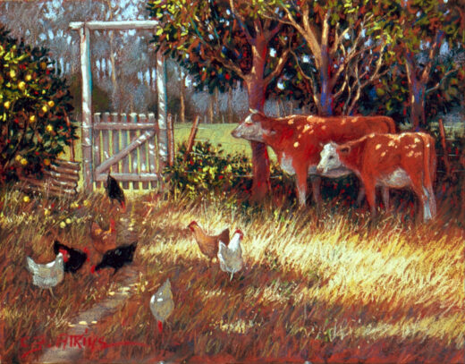 Cows wait by a gate, probably hoping to go out. Multicoloured chickens are searching for food in the grass.