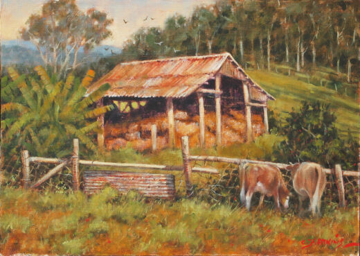 Cattle feed by the fence that excludes them from the hayshed and its contents. Bananas grow near the hayshed and trees grow on the hillside in the background.