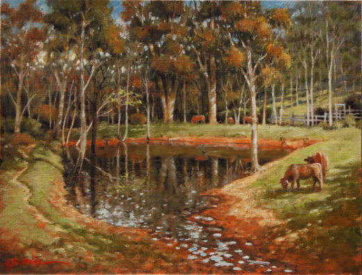 Trees reflect in the water of a dam. Cattle graze nearby. In the far distance there are cattle yards.