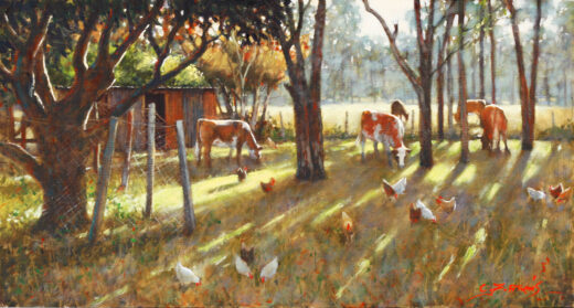 Cows and chickens feed among the long shadows caused by the early morning sunlight.